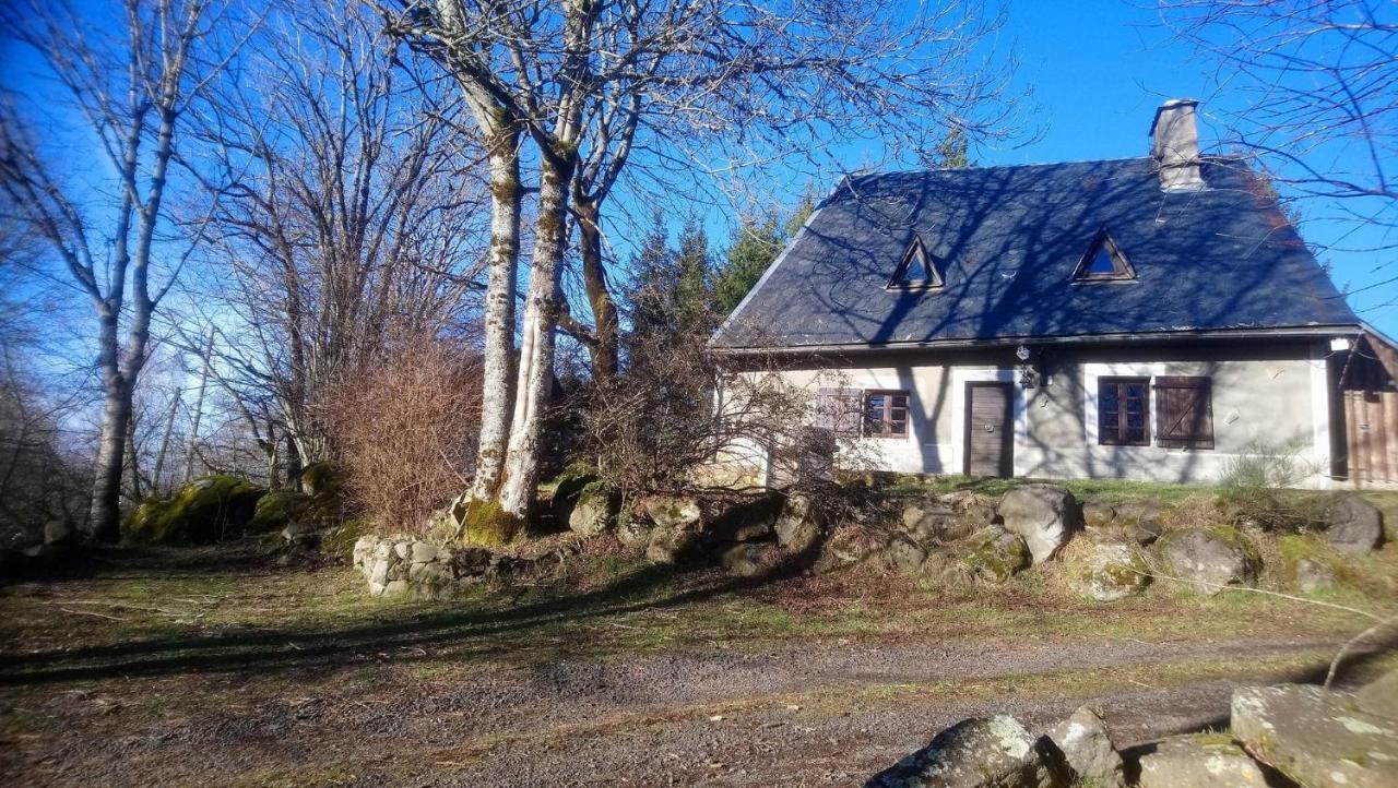 Fermette Typique Auvergnate Dans Son Ecrin D'Eau Et De Verdure Saint-Donat Exterior foto