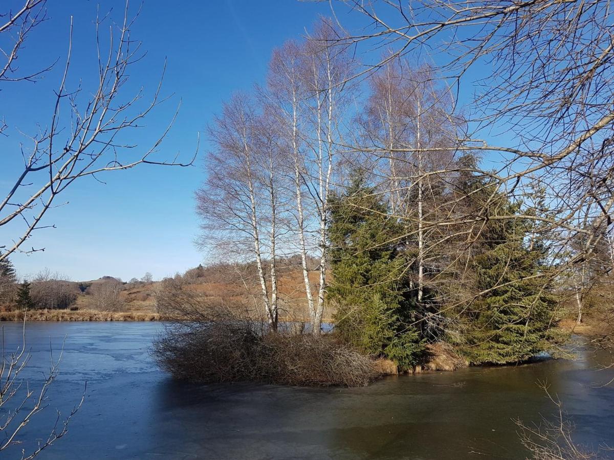 Fermette Typique Auvergnate Dans Son Ecrin D'Eau Et De Verdure Saint-Donat Exterior foto