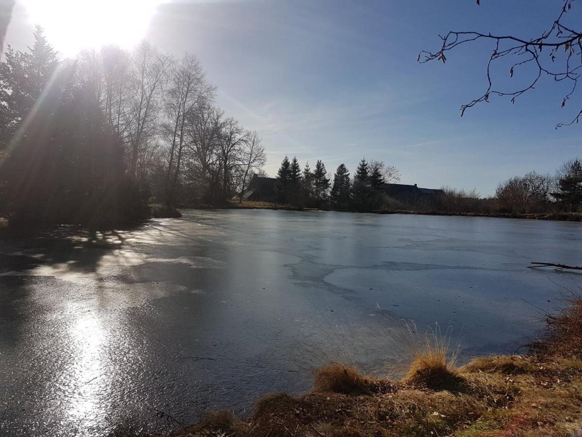 Fermette Typique Auvergnate Dans Son Ecrin D'Eau Et De Verdure Saint-Donat Exterior foto